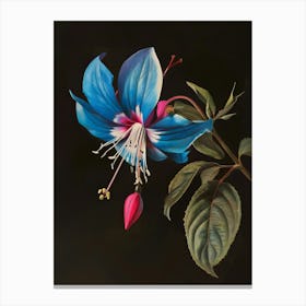 Floral Art 0005 Flower Single 0001 Fine Fl 0003 Bp6586 A Striking Blue And Fuchsia Flower On A Black Background 226125f4 Canvas Print