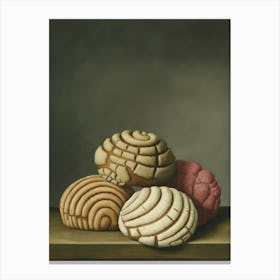 Conchas 2 Fy V Canvas Print