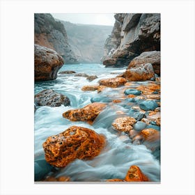 Rocky Coast Canvas Print