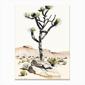 Joshua Tree In Rocky Landscape Minimilist Watercolour  (2) Canvas Print