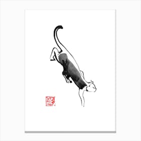 Sneaking Cat Canvas Print