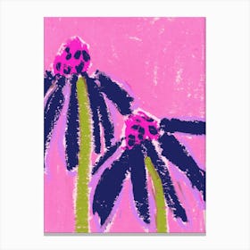 Echinacea Canvas Print