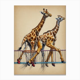 Giraffes On A Fence Canvas Print