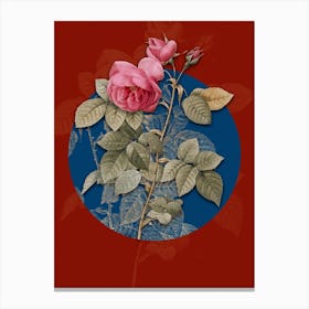 Vintage Botanical Pink Bourbon Roses on Circle Blue on Red n.0091 Canvas Print