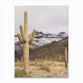 Snow Covered Desert Mountains Canvas Print