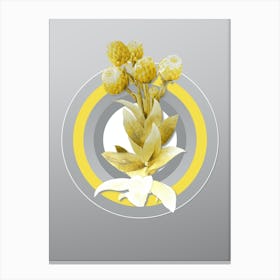 Botanical Cudweeds in Yellow and Gray Gradient n.406 Canvas Print