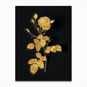 Vintage Provence Rose Botanical in Gold on Black n.0015 Canvas Print