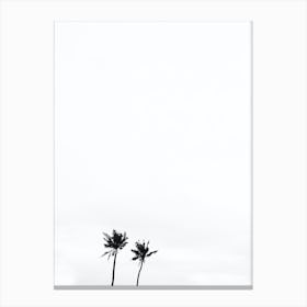 Black And White Palm Trees 2 Canvas Print
