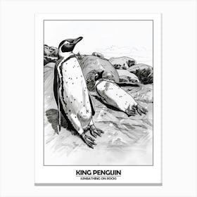 Penguin Sunbathing On Rocks Poster 8 Canvas Print