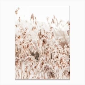 Wild Reeds Canvas Print