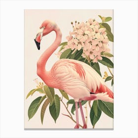 Lesser Flamingo And Bougainvillea Minimalist Illustration 4 Canvas Print