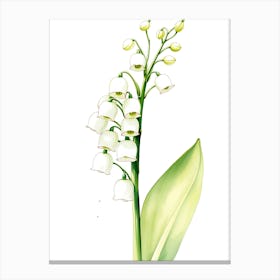 Lily Of The Valley 23 Canvas Print