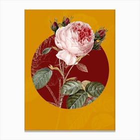 Vintage Botanical Centifolia Roses Rosa Centifolia on Circle Red on Yellow n.0206 Canvas Print