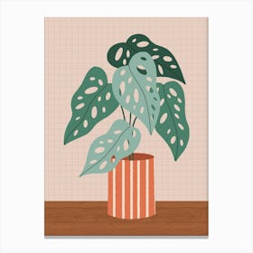 Plant In A Pot 1 Canvas Print