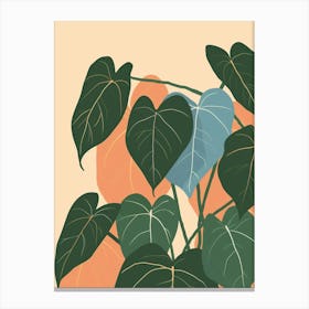 Philodendron Plant Minimalist Illustration 4 Canvas Print