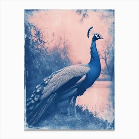 Peacock By The River Cyanotype Inspired 1 Canvas Print