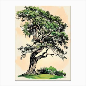 Ebony Tree Storybook Illustration 4 Canvas Print