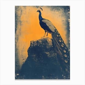 Orange & Blue Peacock On A Rock 1 Canvas Print