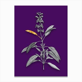 Vintage Sage Plant Black and White Gold Leaf Floral Art on Deep Violet n.0155 Canvas Print