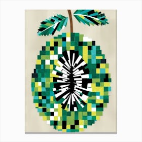 Kiwi Fruit Canvas Print