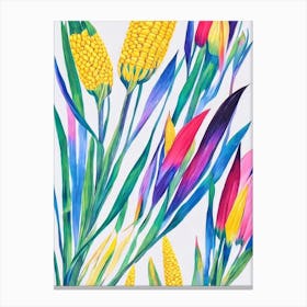 Corn 2 Marker vegetable Canvas Print