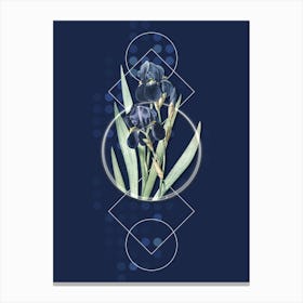 Vintage German Iris Botanical with Geometric Line Motif and Dot Pattern n.0147 Canvas Print