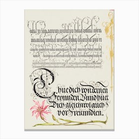 Cuckoo Flower From Mira Calligraphiae Monumenta, Joris Hoefnagel Canvas Print