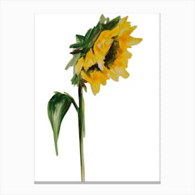 Sunflower Painting Canvas Print