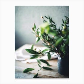 Ruscus Still Life On Table Canvas Print