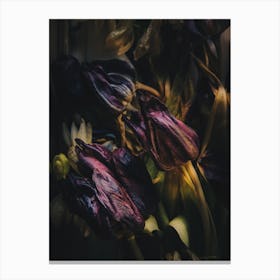 Night Of Tulipdance Canvas Print