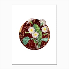 Vintage Grandiflora Botanical in Gilded Marble on Clean White Canvas Print