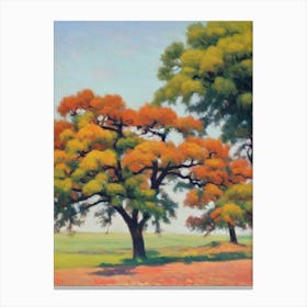 Chinkapin Oak Tree Watercolour Canvas Print
