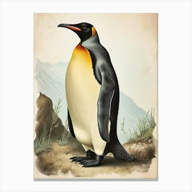 Adlie Penguin Isabela Island Vintage Botanical Painting 2 Canvas Print