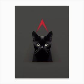 Cat iii Canvas Print