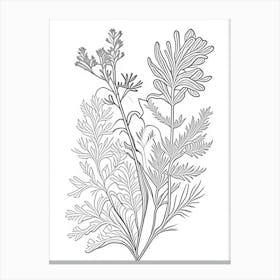 Astragalus Herb William Morris Inspired Line Drawing 3 Canvas Print