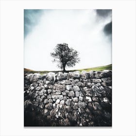 Beyond The Wall Lies The Tree Canvas Print