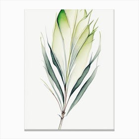 Yucca Leaf Minimalist Watercolour 1 Canvas Print