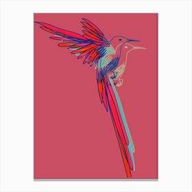 Hummingbird004 Canvas Print