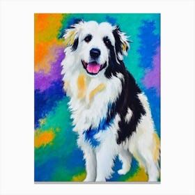 Pyrenean Shepherd 2 Fauvist Style dog Canvas Print