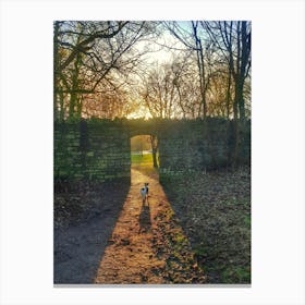 Dog walking through to light Canvas Print