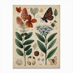 Botanical Garden Canvas Print