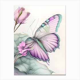 Butterflysketch2 Canvas Print