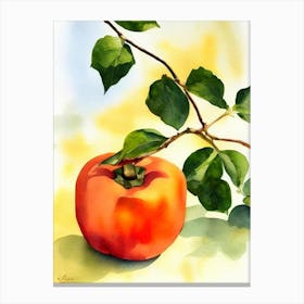Persimmon Italian Watercolour fruit Canvas Print
