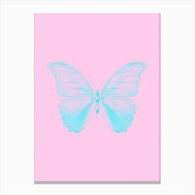 Blue Butterfly On Pink Background Leinwandbilder