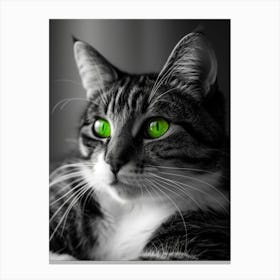 Green Eyes Cat 1 Canvas Print