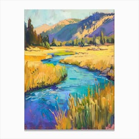 Tahoe River Canvas Print