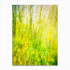 Woodland Daffodils Canvas Print