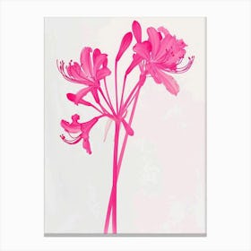 Hot Pink Agapanthus 2 Canvas Print