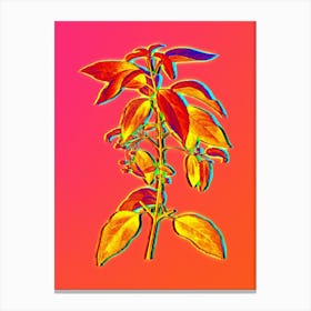 Neon Chilean Wineberry Branch Botanical in Hot Pink and Electric Blue n.0177 Canvas Print