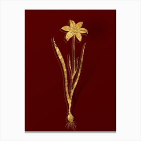 Vintage Lady Tulip Botanical in Gold on Red n.0442 Canvas Print